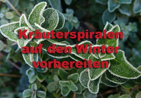 Wie bereitet man Kräuterspiralen auf den Winter vor?