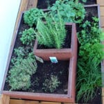 Kräuterspirale für den Garten: Bauanleitung, Bepflanzung und Bausätze
